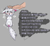 가슴 개과 나체 딜도 물음표 바이브레이터 배꼽 보지 복부팽창 사지절단 삽입 성기 손 수갤창작 여우 유두 자위기구 작가:11035 태그필요 포유류 한국어 혀 홍조 흰색배경 // 710x667 // 183.4KB