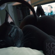 3d 고양이 고양잇과 나체 넥타이 엉덩이 옷 인간 작가:KC3D 침대 포유류 // 1200x1200 // 125.7KB