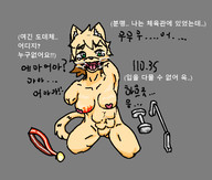 BDSM 단색배경 사지절단 수갤창작 작가:11035 한국어 흉터 // 600x510 // 94.7KB